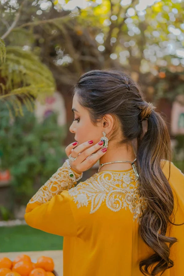 Tejruyab | Kashmiri Riwaayat — TR-KRW-59